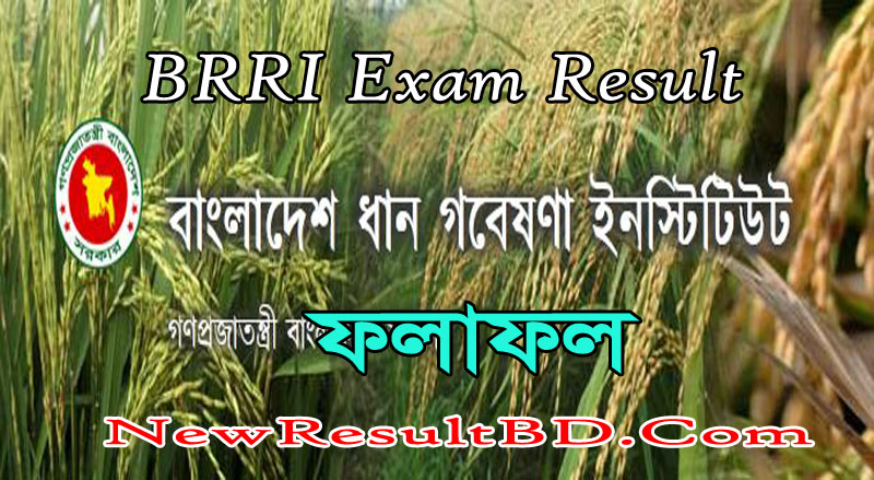 BRRI Result 2021 – Bangladesh Rice Research Institute BRRI Result 2021 – Bangladesh Rice Research Institute
