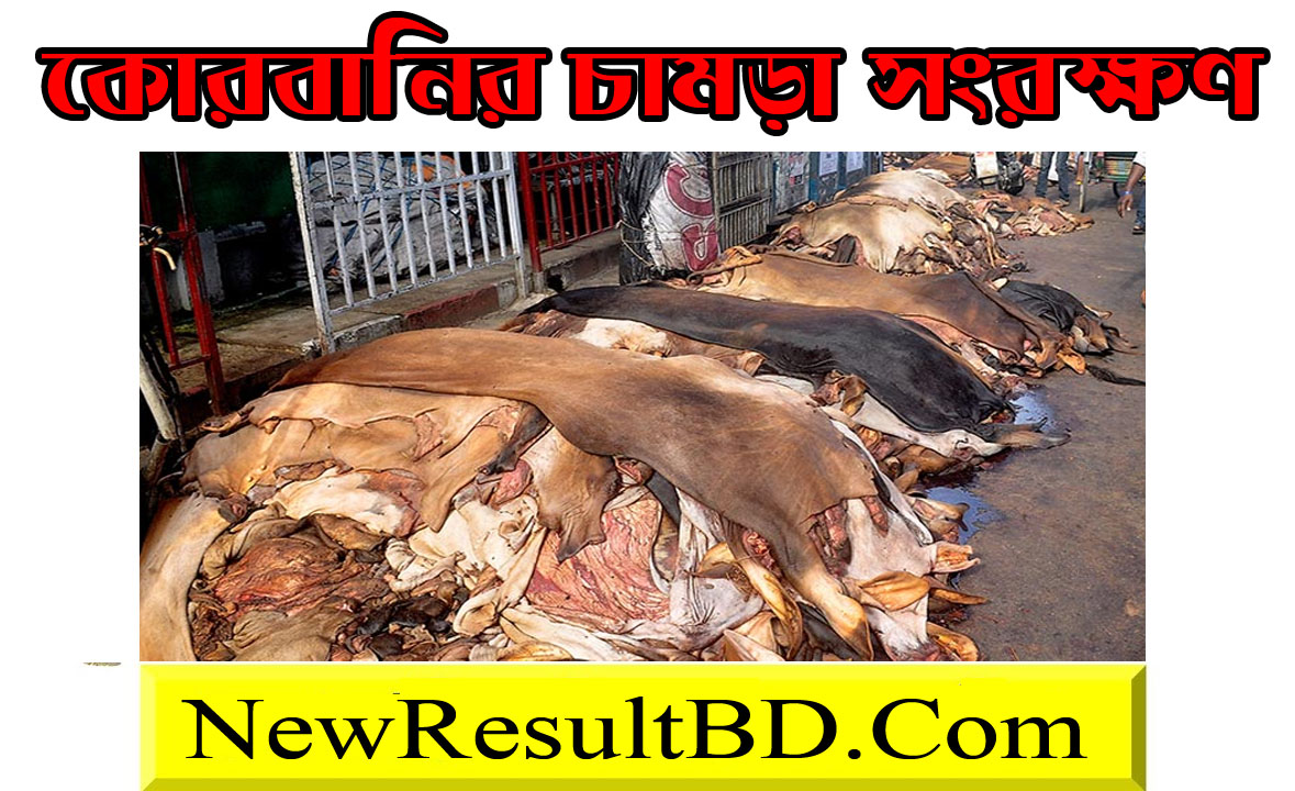 কোরবানির চামড়া সংরক্ষণের নিয়ম ২০২১ – বিজ্ঞানসম্মত উপায়ে পশুর চামড়া ছাড়ানো উপায় – ঈদুল আজহা পশু চামড়া দাম। কোরবানির চামড়া সংরক্ষণের নিয়ম ২০২১ – বিজ্ঞানসম্মত উপায়ে পশুর চামড়া ছাড়ানো উপায় – ঈদুল আজহা পশু চামড়া দাম।