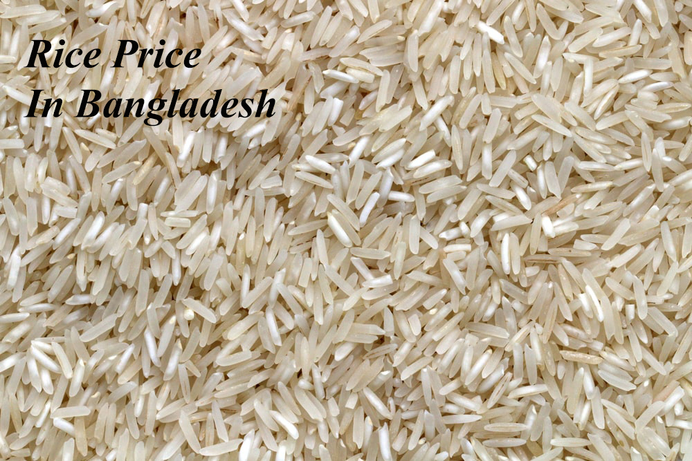 Rice price Lin Bangladesh Rice price Lin Bangladesh