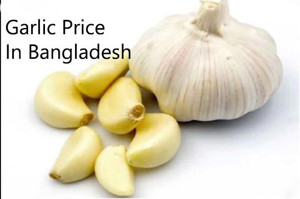 রসুন চাষ পদ্ধতি/ রসুন এর মূল্য রসুন চাষ পদ্ধতি/ রসুন এর মূল্য