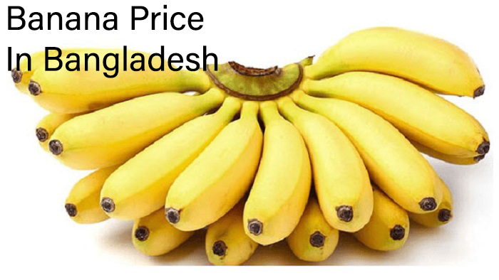 কলা চাষ পদ্ধতি/ কলার গুণাগুণ/ কলার দাম কত কলা চাষ পদ্ধতি/ কলার গুণাগুণ/ কলার দাম কত