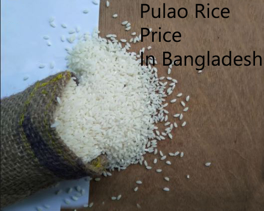 পোলাও চাউল এর দাম/ বর্তমান বাজারে পোলাও চাউল এর মূল্য কত? পোলাও চাউল এর দাম/ বর্তমান বাজারে পোলাও চাউল এর মূল্য কত?