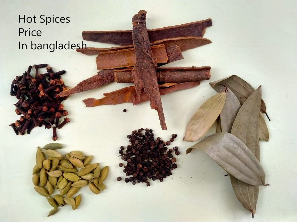 Hot Spices Price List In Bangladesh