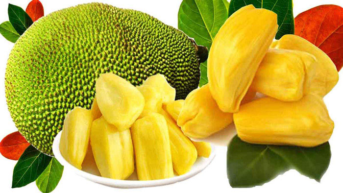 কাঁঠাল/ বাংলাদেশের জাতীয় ফল/ কাঁঠাল এর জাত