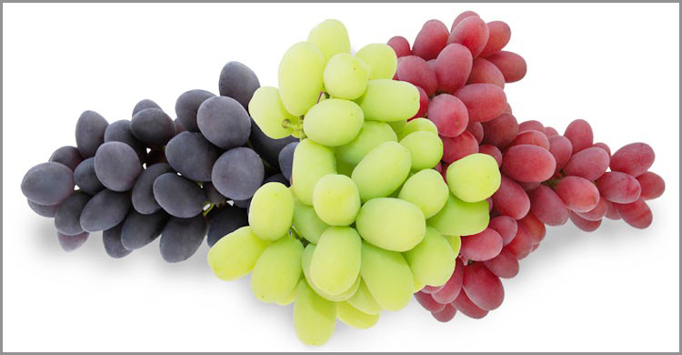 Benefits of Grapes / Grape Cultivation Methods
