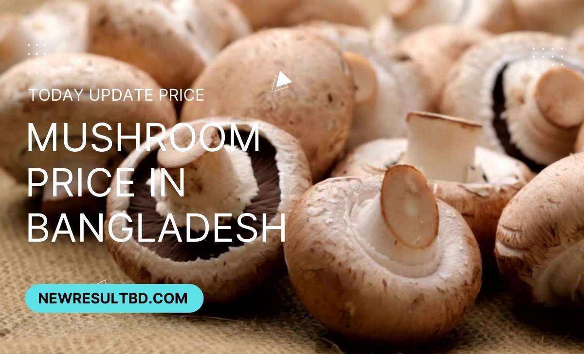Mushroom price in Bangladesh Mushroom price in Bangladesh
