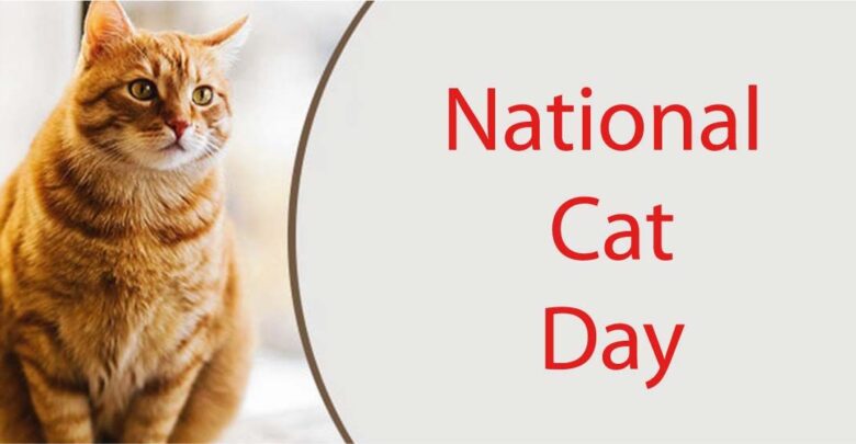 National Cat Day 2022 Wishes, Quotes, Captions, Pic, Messages National Cat Day 2022 Wishes, Quotes, Captions, Pic, Messages
