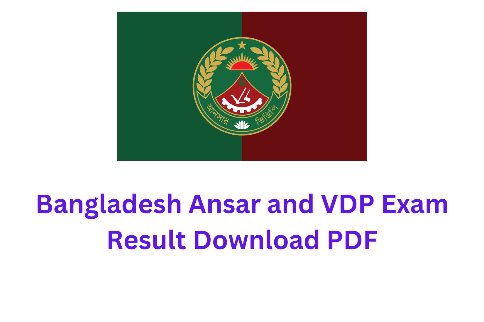 বাংলাদেশ আনসার এবং ভিডিপি পরীক্ষা ফলাফল ২০২৩