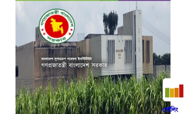 BSRI Exam Result 2023 – bsri.gov.bd